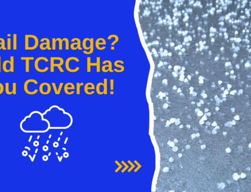Hail Damage? Bold TCRC Has You Covered!